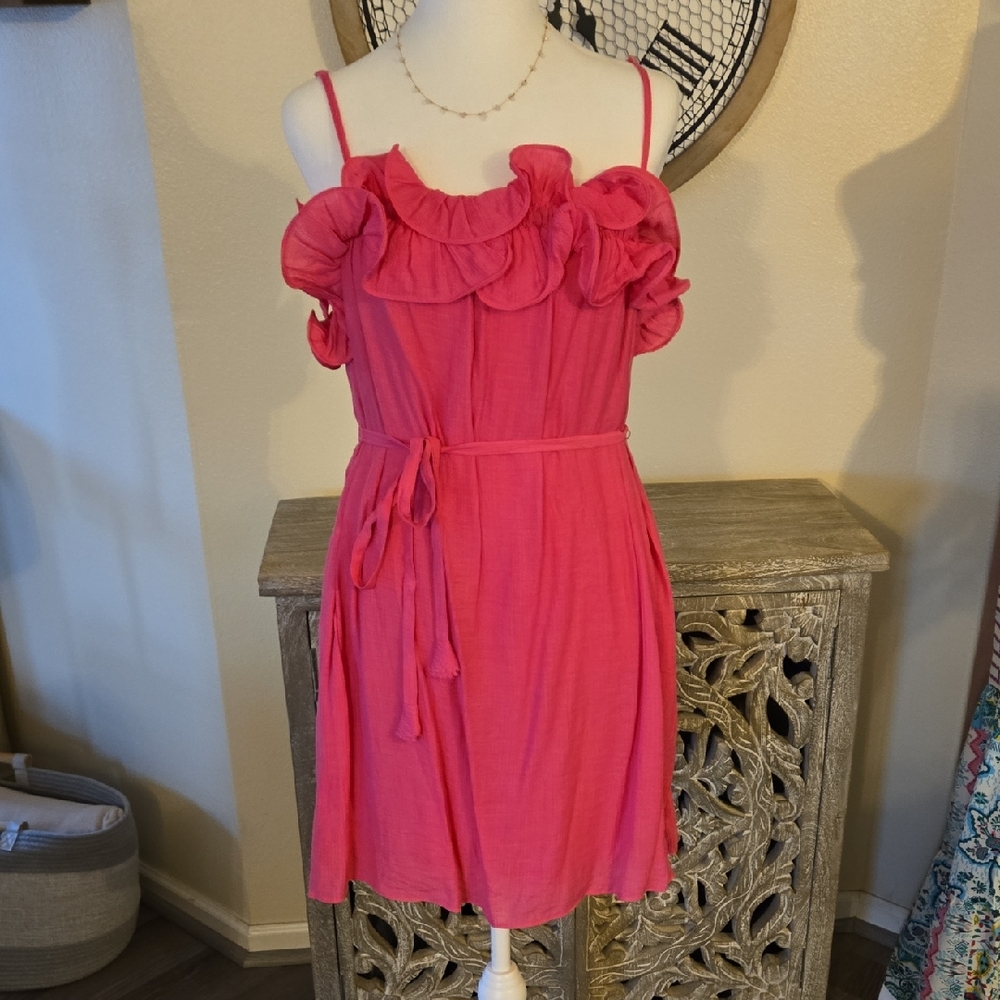 NWT Mustard Seed Pink Ruffle Mini Dress